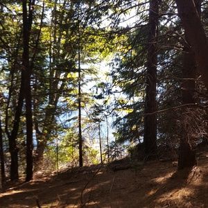 Meet your Posher, Nunya